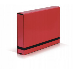 TECZKA Z GUMKA A4 BOX CARI
