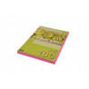 PAPIER KSERO ROZ A4/80G 100 KRESKA