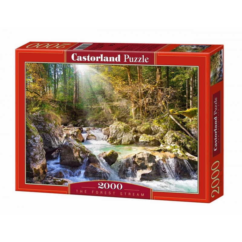 PUZZLE 2000EL SUNNY FORE