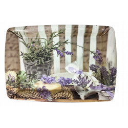 TACA PLAST 40X27