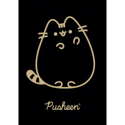 ZESZYT A5/60K KRAT PUSHEEN