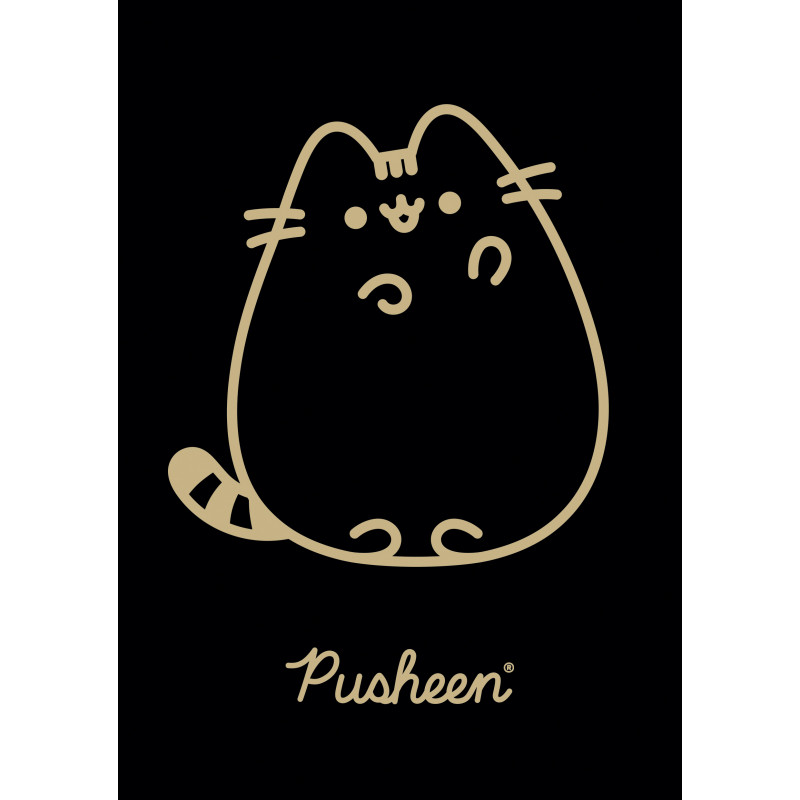 ZESZYT A5/60K KRAT PUSHEEN