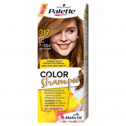 SZAMPON PALETTE ORZECH
