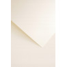 KARTON OZD. KREM 220G LEN 20ARK.