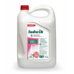 PŁYN DO NACZYŃ LUDWIK...