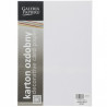 KARTON OZDOBNY GŁADKI BIAŁY 160G 100SZT GALERIA PAPIERU