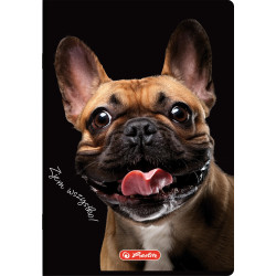 ZESZYT HERLITZ CRAZY ANIMAL...