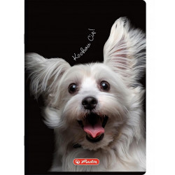ZESZYT SLOW CRAZY ANIMAL A6...