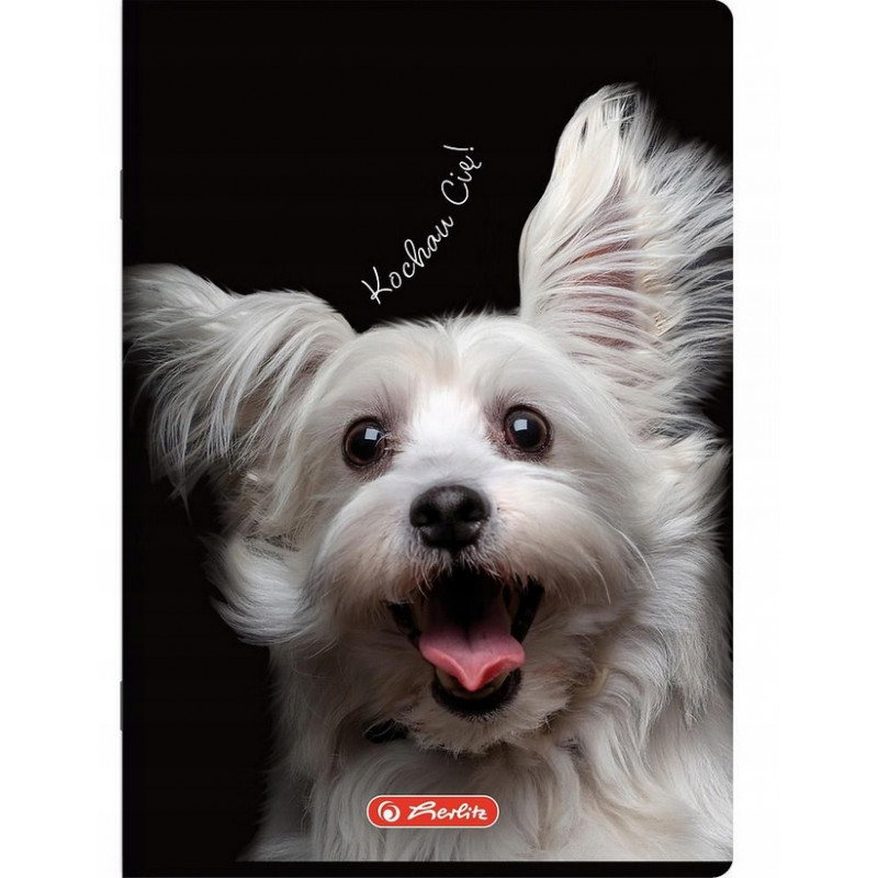 ZESZYT SLOW CRAZY ANIMAL A6 32K