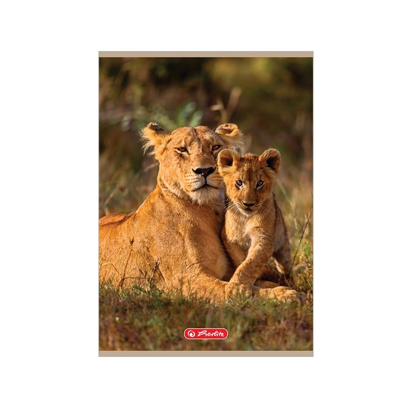 ZESZYT 32 A5/ KRATKA ANIMALS HERLITZ
