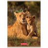 ZESZYT 32 A5/ KRATKA ANIMALS HERLITZ