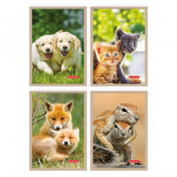 KOLONOTATNIK A6/40 ANIMALS