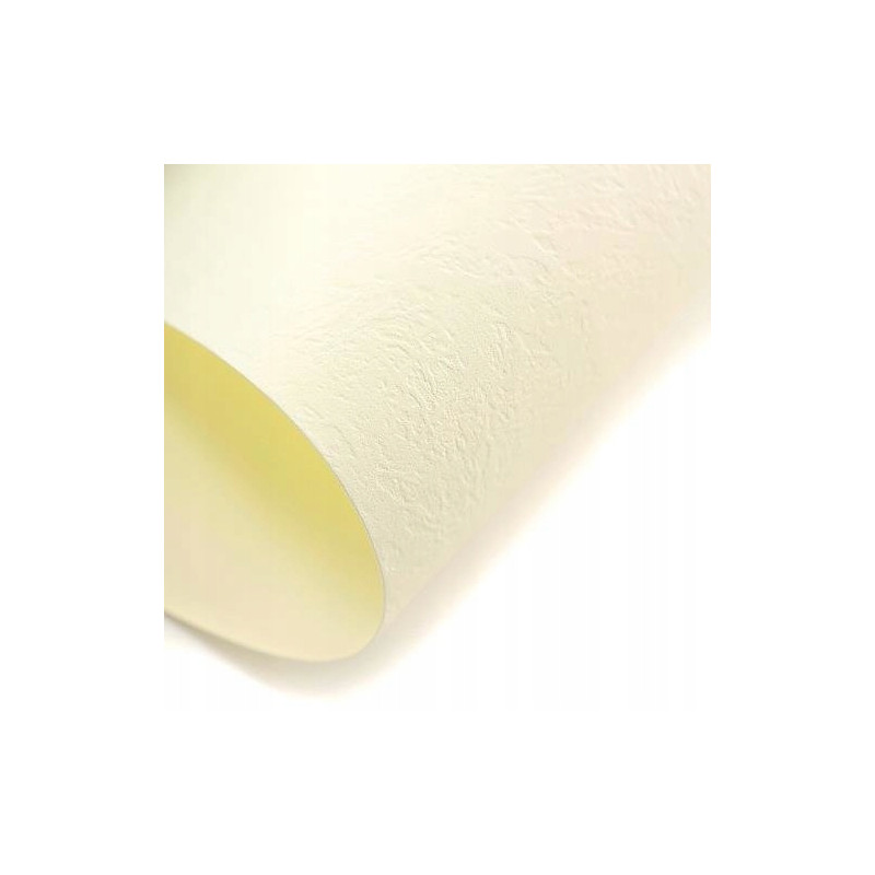 KARTON OZDOBNY SKÓRA KREM 20SZT 230G GALERIA PAPIERU