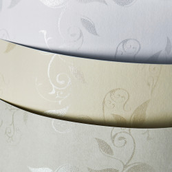 KARTON OZDOBNY LIANA BIAŁY...