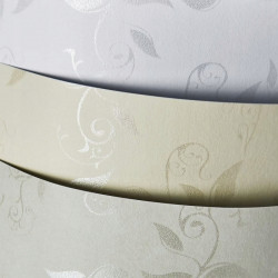 KARTON OZDOBMY LIANA...