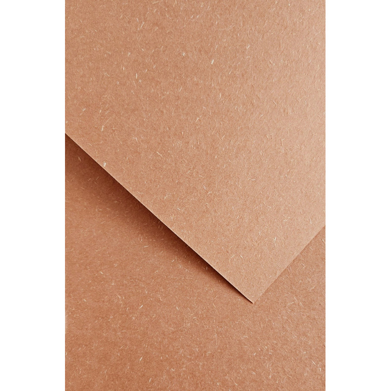 KARTON OZDOBNY WOOD PUDROWY RÓŻ A20 220G