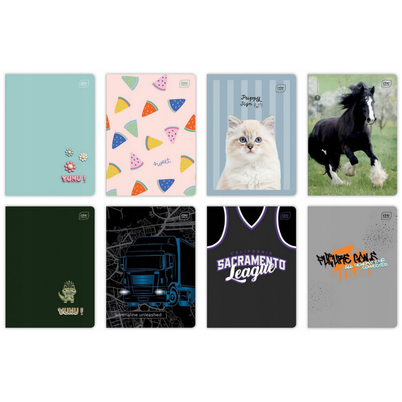 ZESZYT A5 32 LINIA MIX