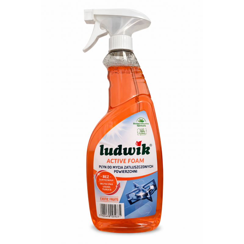 PŁYN LUDWIK DO ZATŁUSZCZONYCH POWIERZCHNI - 600ML SPRAY