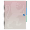 ZESZYT OXFORD B5 80K PASTEL