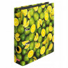 SEGREGATOR A4/8 LEMON HAMELIN