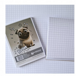notes a6