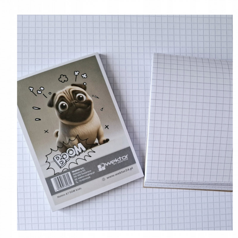 notes a6