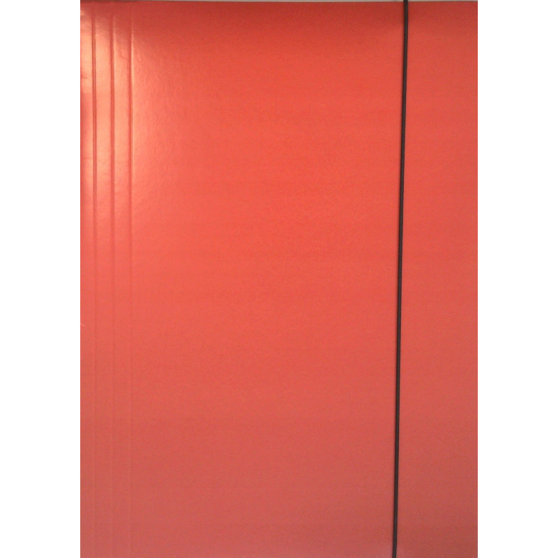 TECZKA A4 Z GUMKĄ 300G LAKIEROWANA  MIX KOLORÓW 300G /10/200/WEKTOR