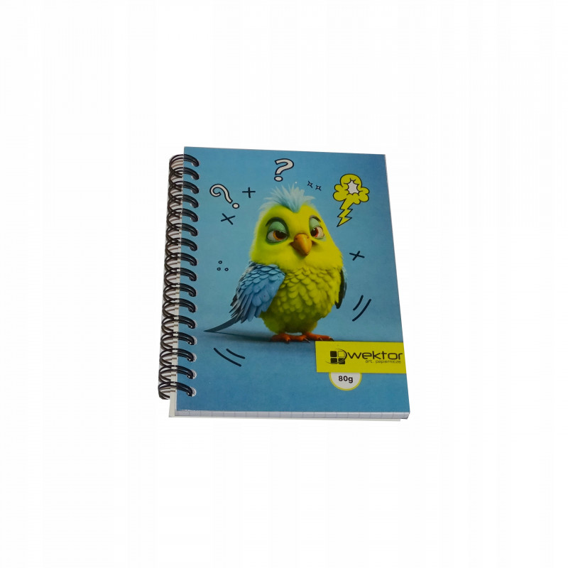 KOŁOZESZYT A6 50# KIDS 80G